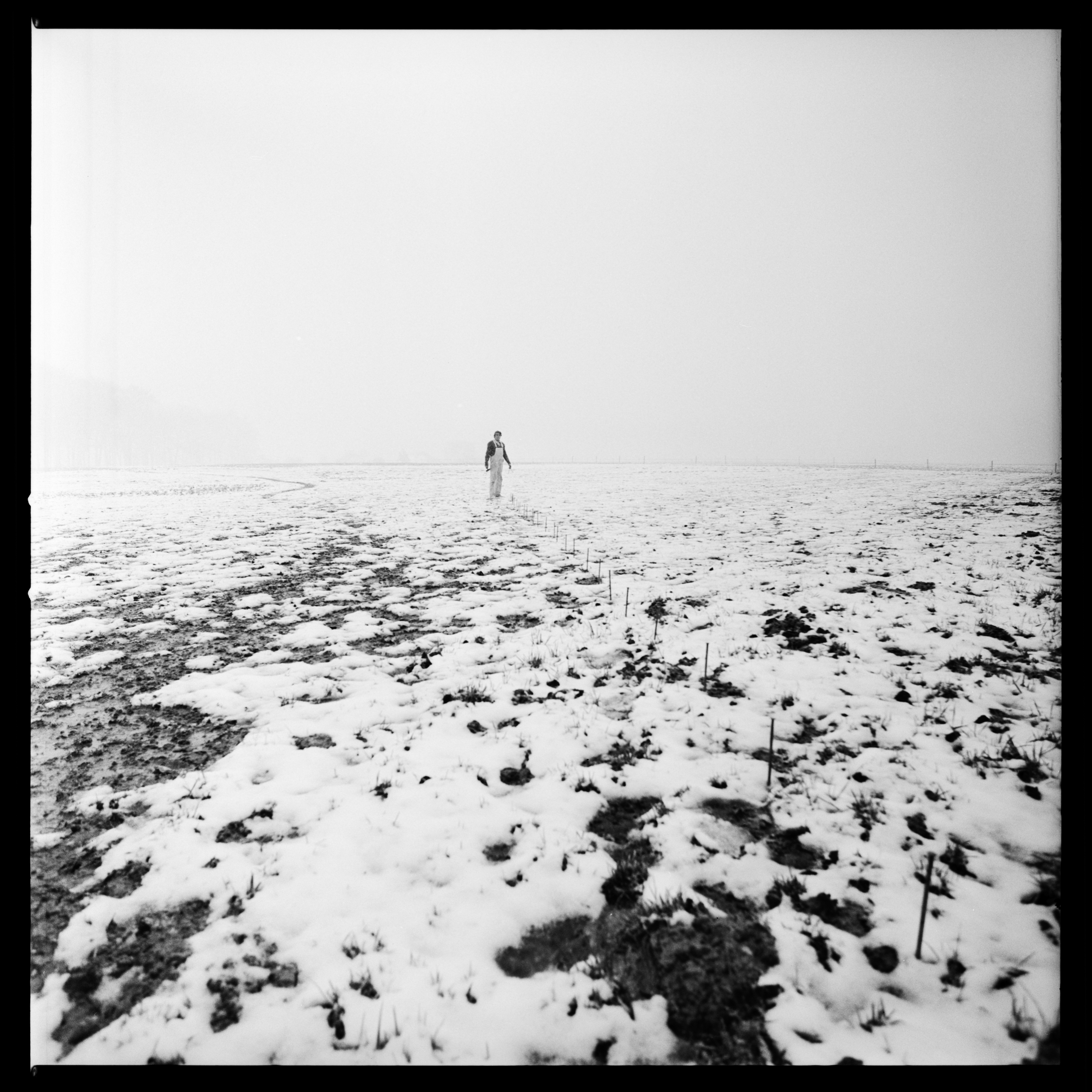 Günther Uecker, Nagelfeldzug, Eifel, Deutschland, 1969