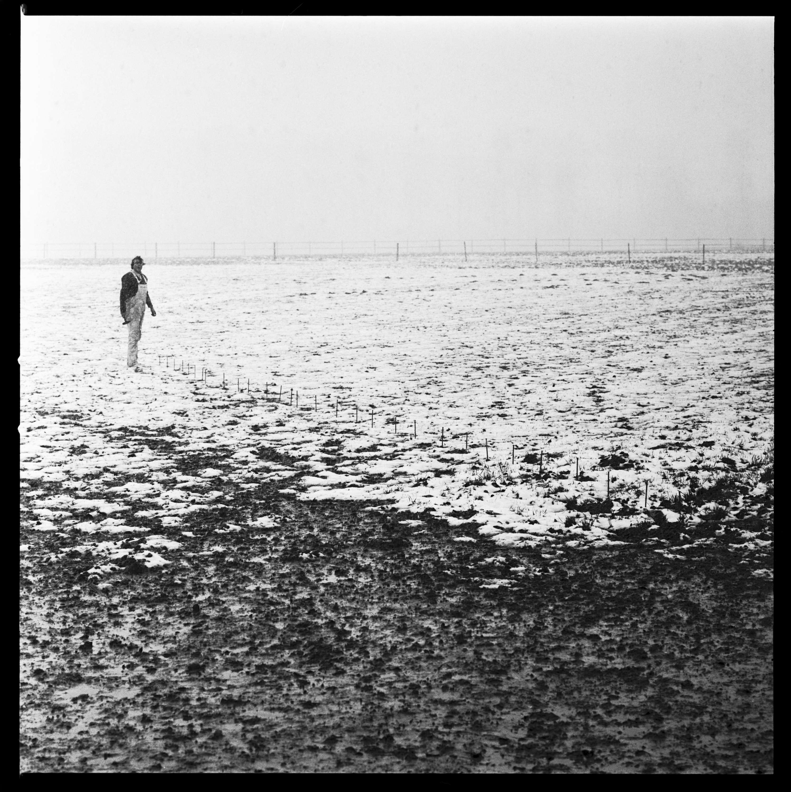 Günther Uecker, Nagelfeldzug, Eifel, Deutschland, 1969