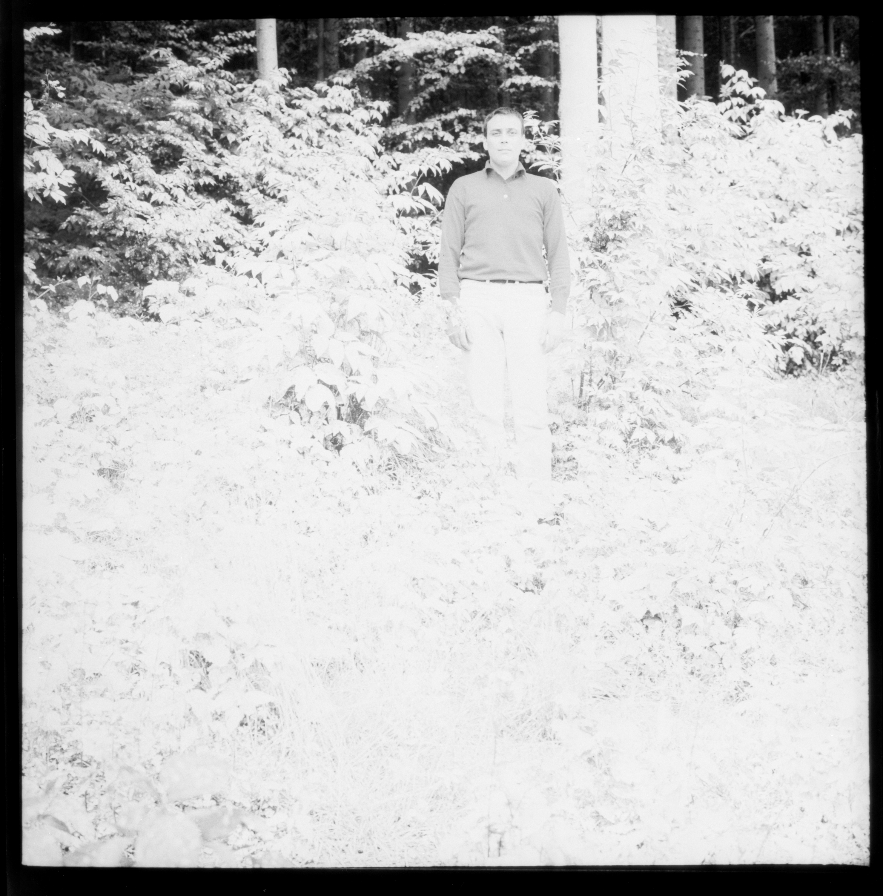 Günther Uecker after his action White Forest, near Bern, Switzerland, 1966 - photographed by Lothar Wolleh